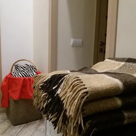 Ciello بيت شباب *